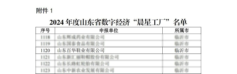 關(guān)于公布2024年度山東省數(shù)字經(jīng)濟(jì)“晨星工廠”名單的通知_02