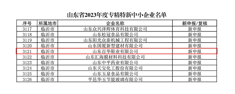 熱烈祝賀百華鞋業(yè)通過(guò)山東省專精特新企業(yè)認(rèn)定！